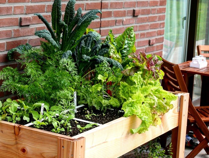 Een moestuinbak van douglas hout maken